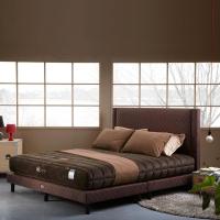 ราคา LOTUS ที่นอน รุ่น NODIC สีน้ำตาล ขนาด 3.5 ฟุต (11908)