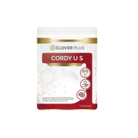 ราคา Clover Plus Cordy US คอร์ดี้ ยูเอส สารสกัดจากถั่งเช่าและเห็ดหลินจือ ขนาด 7 แคปซูล (1 ซอง) (41196)