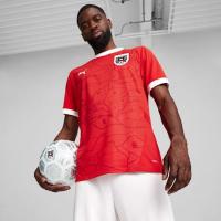 ราคา PUMA เสื้อฟุตบอลชายทีมชาติออสเตรีย 2024 ทีมเหย้า (4099685615032)