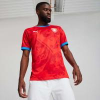ราคา PUMA เสื้อฟุตบอลชายทีมชาติสาธารณรัฐเช็ก 2024 ทีมเหย้า (4099686951986)