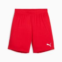 ราคา PUMA กางเกงฟุตบอลเด็กโต teamGOAL (4099685723546)