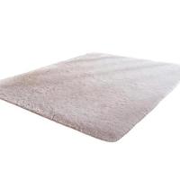 ราคา Leaves mall พรมมินิมอล ผืนใหญ่ (571244-550594010)