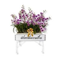 ราคา กล้วยไม้หวายญาญ่าจัดรางพลาสติกขาว พร้อมป้ายระบุข้อความ (365508-661399010)