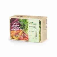 ราคา Bioveggie ผักอัดเม็ด ไบโอเวกกี้ ขนาด 30 ซอง (437031-272916010)
