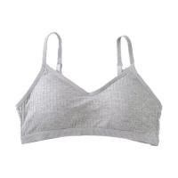 ราคา Bra Studio บราทรงสปอร์ท ไร้โครง สายบ่าปรับได้ พร้อมตะขอหลัง Free Size (368802-676453010)