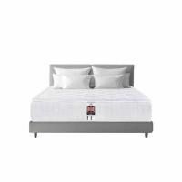 ราคา SOLOMON ที่นอนสปริง Cornflaks (338168-703382010)