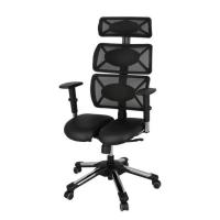 ราคา HARA CHAIR เก้าอี้สำนักงานเพื่อสุขภาพ รุ่น DOCTOR-2 (ด๊อกเตอร์-2) สีดำ (363157-709514010)