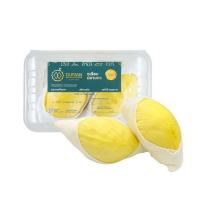 ราคา ทุเรียนหมอนทอง แกะเนื้อ เกรดพรีเมี่ยม ทุเรียนมหานคร (347621-706171010)