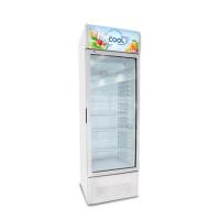 ราคา The Cool ตู้แช่เย็น 1 ประตู ขนาด 10.2 คิว รุ่น LISA 288 CF (516333-452977010)