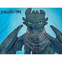 ราคา ผ้าห่มเขี้ยวกุด DRAGON สีฟ้าน้ำทะเล (334195-716307010)