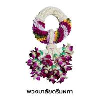 ราคา พวงมาลัยกล้วยไม้ ศรีอุษา แปลงใหญ่กล้วยไม้หนองนกไข่ จ.สมุทรสาคร (326025-711356010)