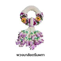 ราคา พวงมาลัยกล้วยไม้ ดรีมผกา แปลงใหญ่กล้วยไม้หนองนกไข่ จ.สมุทรสาคร (326020-711355010)