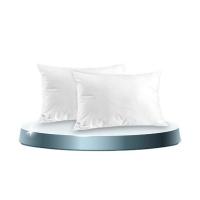 ราคา SOLOMON หมอนหนุน 2 ใบ เพื่อสุขภาพ ป้องกันไรฝุ่น (333235-715701010)