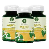 ราคา Go Herb พลูคาว บรรจุ 60 แคปซูล/กระปุก (แพ็ก3กระปุก) (342191-720220010)