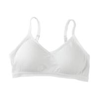 ราคา Bra Studio บราทรงสปอร์ท ไร้โครง สายบ่าปรับได้ พร้อมตะขอหลัง Free Size (368802-676454010)