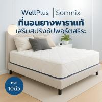 ราคา WellPlus ที่นอนยางพาราแท้เสริมสปริงพรีเมียม รุ่น Somnix หนา 10 นิ้ว (342581-720368010)