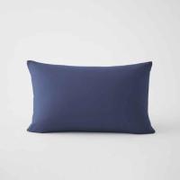 ราคา Lotus หมอนหนุนใยสังเคราะห์ รุ่น Freshy Fairy Blue (358857-708965010)