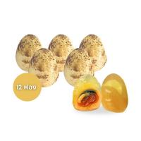 ราคา ไข่นกกะทาเยี่ยวม้าสีทอง G&E FOOD (347401-706154010)