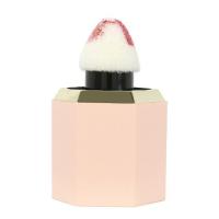 ราคา Ashley บลัชออน Liquid Blush 5.5 กรัม (357157-729370010)