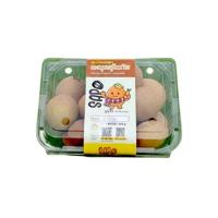 ราคา บ้านสวนอบอุ่น ละมุดสุโขทัย (358404-730131010)