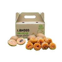 ราคา บ้านสวนอบอุ่น ละมุดสุโขทัย (358404-730132010)