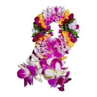 ราคา พวงมาลัยกล้วยไม้ ขนาดกลาง ย่าหยา (358729-730379010)