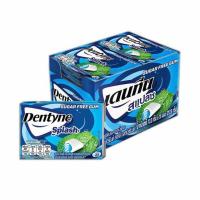 ราคา เดนทีน สแปลช หมากฝรั่งชูการ์ฟรีรสไฮเปอร์มินต์ แบบแผง 13.3 กรัม (แพ็ก 16 ชิ้น) (453325-351573010)