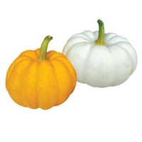 ราคา ชุดฟักทองแฟนซี 400 กรัม (337276-298408040)