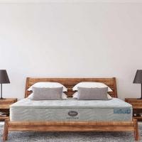 ราคา ที่นอน Satin รุ่น Napoli (359356-730849010)
