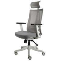 ราคา MODENA เก้าอี้เพื่อสุขภาพ ANYA Off-White สีเทา (324024-736698010)