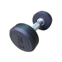 ราคา Major Sport ดัมเบลยกน้ำหนัก รุ่น Round Rubber 5 ก.ก. (1 ข้าง) (454780-354308010)