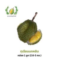 ราคา สวนเจริญทรัพย์ ทุเรียนนกหยิบ กล่อง 1 ลูก (2.6-3.0 กก.) (329896-739603010)