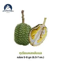ราคา สวนจันทวิสูตร ทุเรียนหลงลับแล กล่อง 5-8 ลูก (6.5-7 กก.) (329970-739669010)