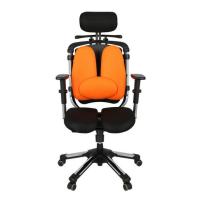 ราคา HARA CHAIR เก้าอี้สำนักงานเพื่อสุขภาพ รุ่น NIETZSCHE-2LB (นิชเช่-2แอลบี) (363224-709515010)