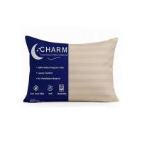 ราคา CHARM หมอนหนุน Sweet dream ลายริ้ว 19x29นิ้ว (327574-738369010)