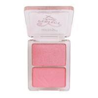 ราคา Ashley บลัชออน Perfect Cheek 6.2 กรัม (335450-742537010)