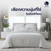 ราคา CHARM ชุดเครื่องนอน ผ้าซาติน ลายริ้ว สีขาว ครบเซต (328953-739125010)