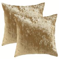 ราคา TEMU 2ชิ้น ปลอกหมอนกำมะหยี่สำหรับตกแต่งโซฟาห้องนั่งเล่น, ปลอกหมอน 45x45ซม./18x18นิ้ว, ปลอกหมอนตกแต่ง (17592293110446)