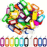 ราคา TEMU 100 ชิ้น พวงกุญแจพลาสติกสีสด ป้ายของหายว่างเปล่า ป้ายหมายเลขโรงแรม ป้ายจำแนกประเภท พวงกุญแจ (17592364458617)