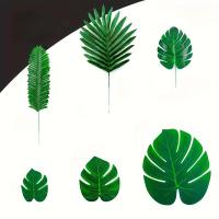 ราคา TEMU 12 แพ็ค ใบปาล์มหางกระรอกหลวม ใบไม้พืชเขตร้อน 6 ชนิด 2 ชุด ตกแต่งภายในอาคาร ตกแต่งผนังพืชสีเขียว ต้นไม้สีเขียว ใบไม้ตกแต่งงานแต่งงาน เทศกาล ตกแต่งโต๊ะกลางแจ้งในร่ม (17592282986649)