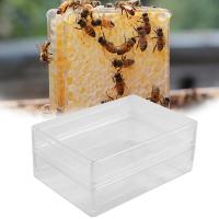 ราคา TEMU กล่องรังผึ้งพลาสติก 10 ชิ้น ขนาด 10x10 ซม. น้ำหนัก 250 กรัม/ชิ้น สำหรับอุปกรณ์เลี้ยงผึ้ง (17592327099971)