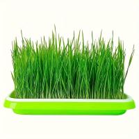 ราคา TEMU ถาดเพาะต้นกล้า สำหรับปลูกผักและต้นกล้าในระบบไฮโดรโปนิกส์แบบไม่ใช้ดิน (ไม่มีฝาปิด) (17592355912799)