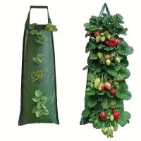 ราคา TEMU ถุงแขวนปลูกต้นไม้ 1 ชิ้น, ถุงแขวนปลูกพืช, 8 รู, ถุงแขวนปลูกดอกไม้, ถุงปลูกพืชพร้อมหูหิ้ว, เหมาะสำหรับกลางแจ้ง, ผนัง, สวน, พืช, มะเขือเทศ, สตรอว์เบอร์รี่ (17592435179792)