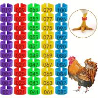 ราคา TEMU ห่วงขาไก่ 100 ชิ้น พร้อมห่วงขาไก่ 5 สี มีหมายเลข ห่วงขาไก่สีสันสดใส ขนาด 16 มม. แบบหนีบ สำหรับเป็ด ไก่ลูก ไก่ นกกินีไก่ นกห่าน ไก่เล็ก ไก่ (17592235189917)