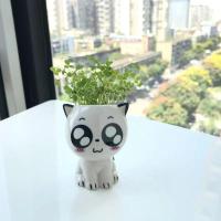 ราคา TEMU กระถางดอกไม้เซรามิก รูปแมวจิ๋ว น่ารัก ลายการ์ตูน กระถางต้นไม้บนโต๊ะทำงาน มีรูระบายน้ำ กระถางแมว ของตกแต่งโต๊ะทำงาน ของเล่นทำสวน ของตกแต่งบ้าน (17592251064924)