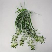 ราคา TEMU ต้นไม้ประดิษฐ์แบบแขวนผนัง Chlorophytum กระถางต้นไม้สีเขียว PVC ต้นไม้ปลอมจำลองดอกไม้ ของตกแต่งห้องนั่งเล่น 65Cm (17592549375229)