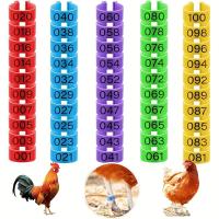 ราคา TEMU ห่วงขาไก่ 100 ชิ้น ห่วงขาไก่ 5 สี มีหมายเลข ห่วงขาไก่สีสันสดใส ขนาด 16 มม. แบบหนีบ สำหรับเป็ด ไก่ลูก ไก่ นกกินีไก่ ห่าน ไก่เล็ก ไก่ใหญ่ ไก่งู และนกหลากหลายชนิด (17592344803352)