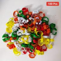 ราคา TEMU แหวนขาไก่สีปรับได้และใช้ซ้ำได้ 100 ชิ้น, ป้ายขาไก่มีหมายเลขสี, แถบขาไก่, หัวเข็มขาไก่, หัวเข็มแหวนขาไก่, แถบขาปีก, แหวนขาปีก, เหมาะสำหรับไก่, เป็ด, ห่าน, เป็นต้น (17592505645487)