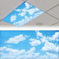 ราคา 1 ชิ้น, โคมไฟเรืองแสง, ขนาด 61*122 ซม. (4x2 นิ้ว), โคมไฟเพดานสำหรับห้องเรียน, โคมไฟกรองแสงป้องกันแสงจ้าแบบแม่เหล็ก, เหมาะสำหรับห้องเรียน, สำนักงาน, , และฮาโลวีน - เมฆที่ผ่อนคลาย (17592519472661)