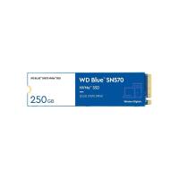 การ์ดเอสเอสดี WD SSD 250GB SN570 M.2 PCle/NVme Blue 5Year (718037887234)